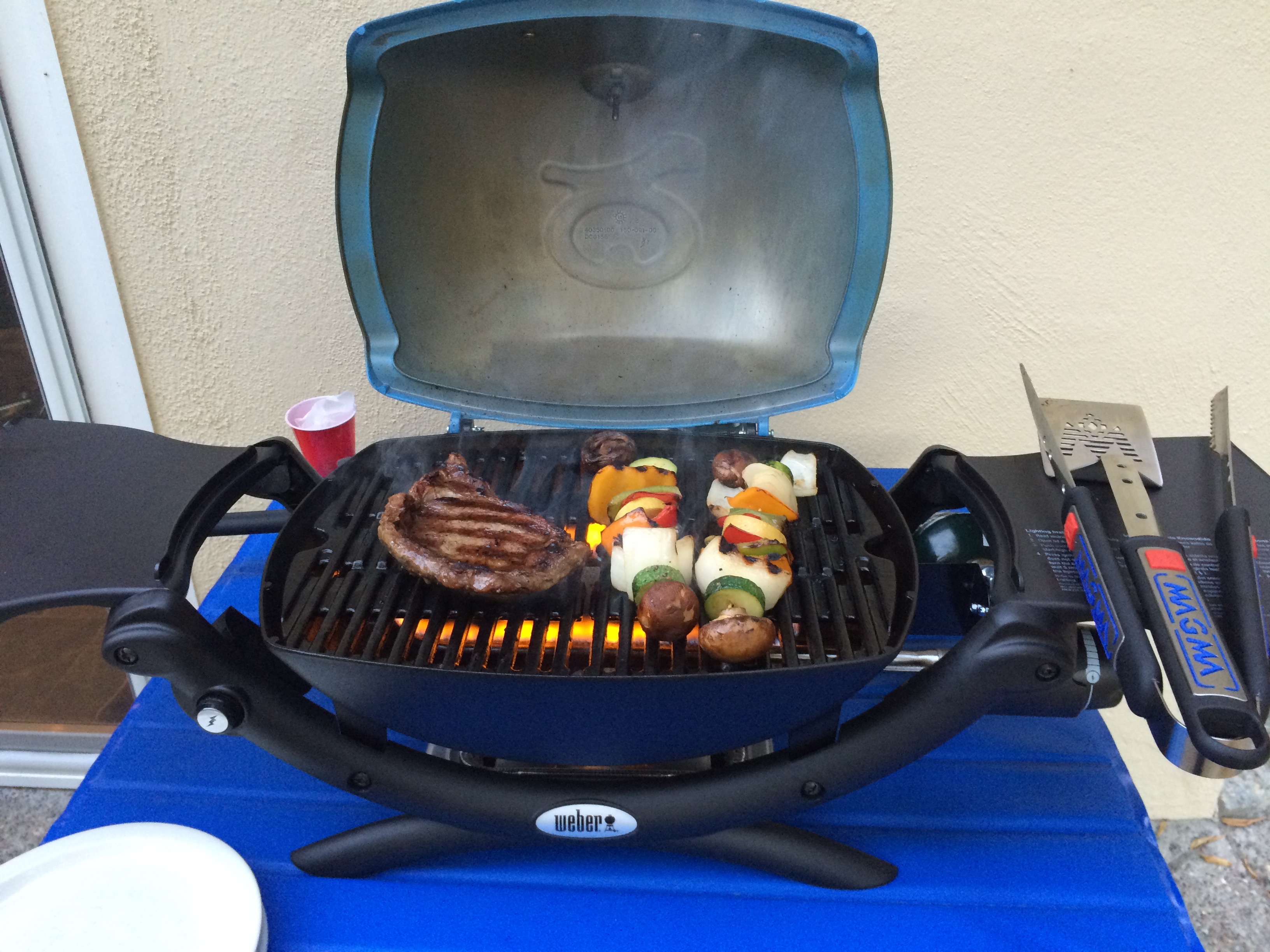 Casini Ranch, Duncan Mills – Carpe Dory (2)